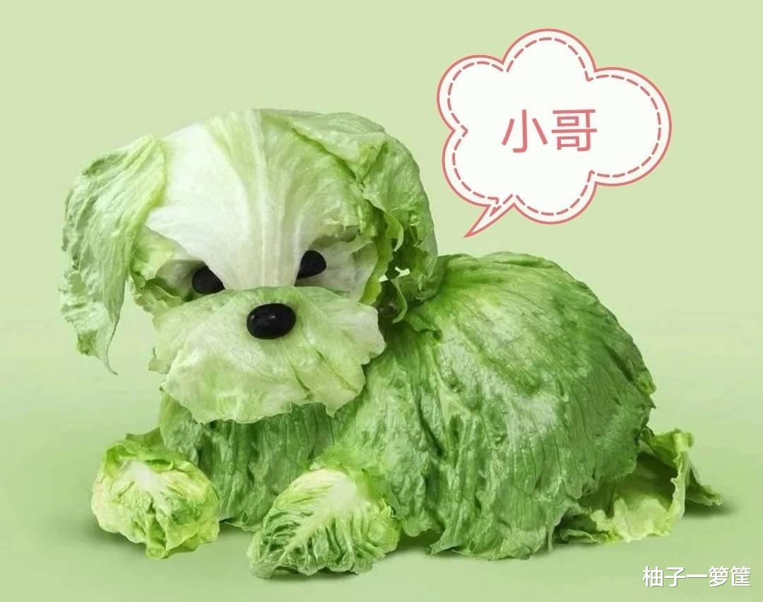 张起灵|强大如神明的张起灵，在《终极笔记》居然被削弱了？