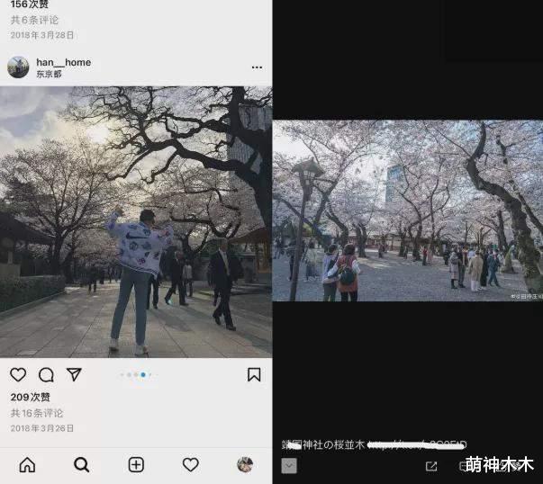 张哲瀚|张哲瀚神社合影事件惹众怒，中国历史研究院发声：神社无神只有鬼