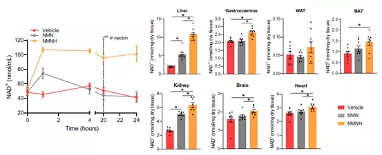 核苷酸 NMNH问世，辅酶前沿技术再刷新！