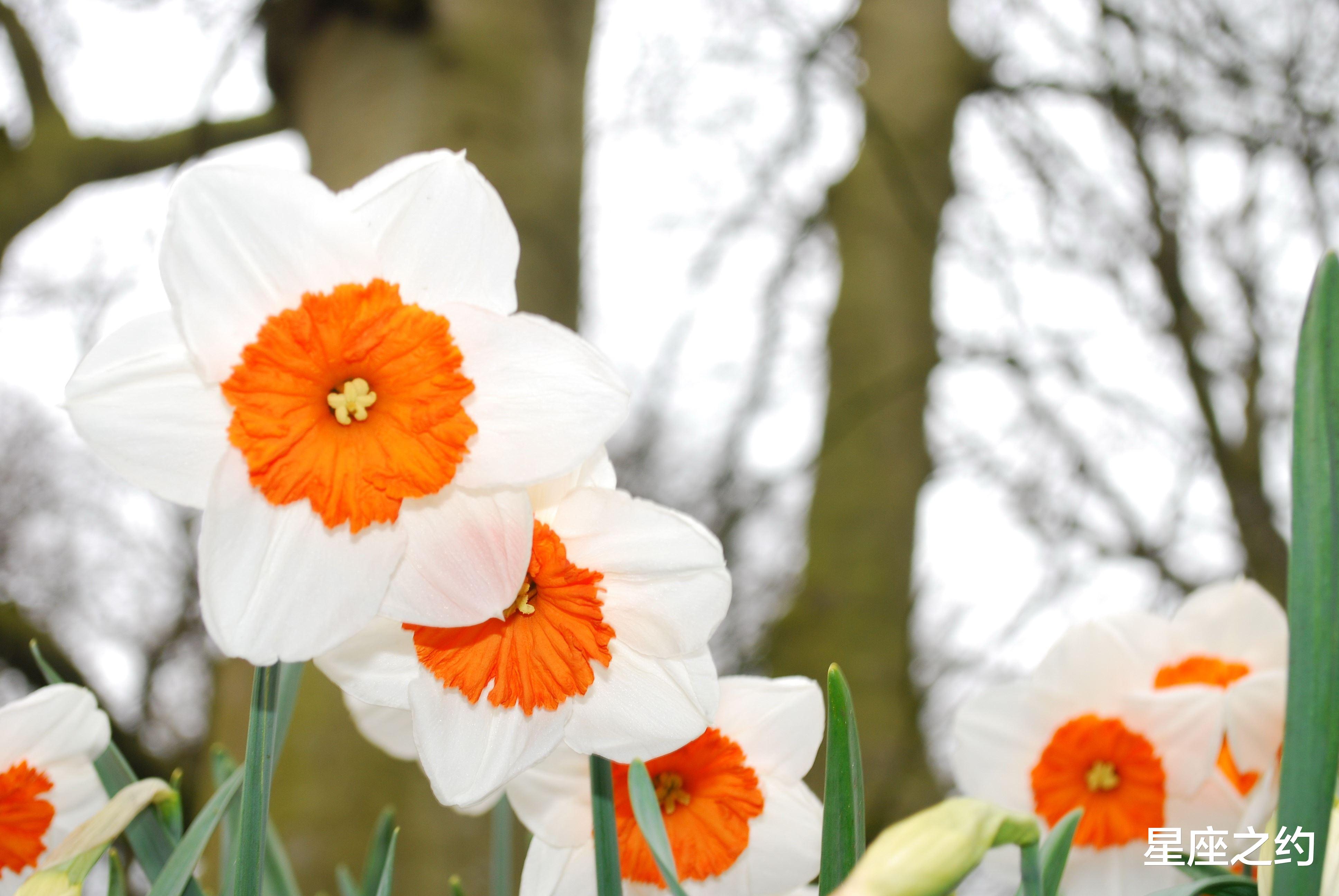星座运势|2月15日星座运势：金牛积极主动，狮子抓住机遇，摩羯迎接挑战