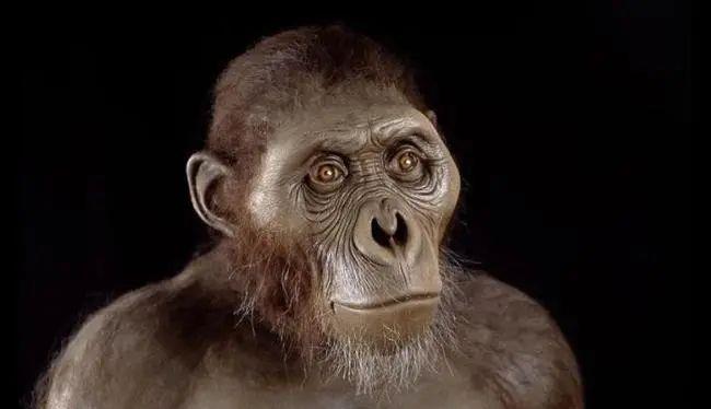 癌细胞 地球人到底是从哪里来的？科学家在研究DNA时发现其中的奥秘