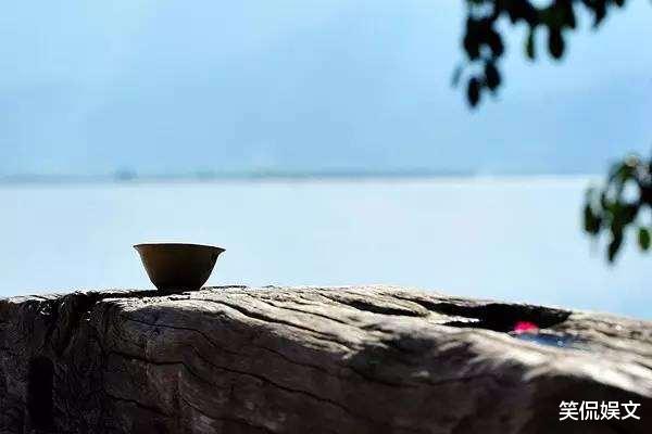 杨丽萍|杨丽萍的宫殿被查！华丽的外表下内部却及其肮脏！究竟怎么了？