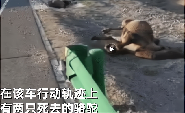 细思极恐!于月仙司机回忆:没看到限速标,同行人曾提议再住一晚