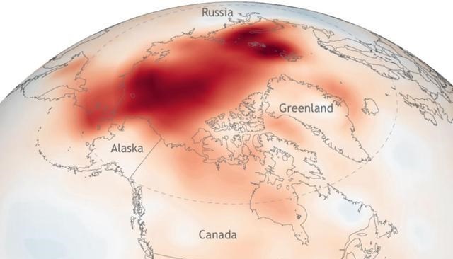科学家警告:北极植物高度大幅增加,变得生机盎然!或会引发灾难