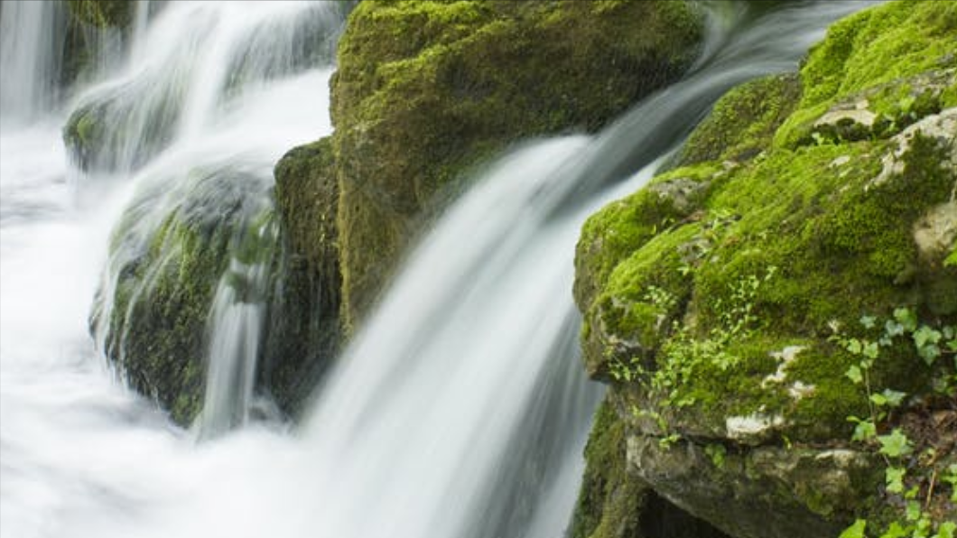 本人讲星座 不丢失原则，骨子里清醒的星座，无畏于大风大浪，活得舒坦惬意
