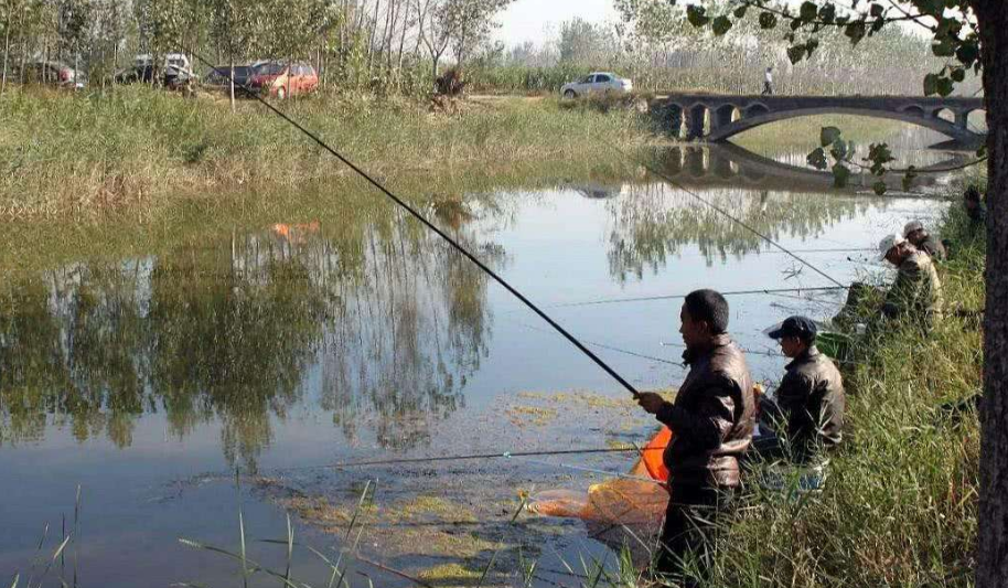 |冬天你会去钓鱼么？我最喜欢秋天去钓鱼