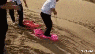 小宁说育儿|“有些人,即使是简化到这种程度了,依然能看出来这是什么”