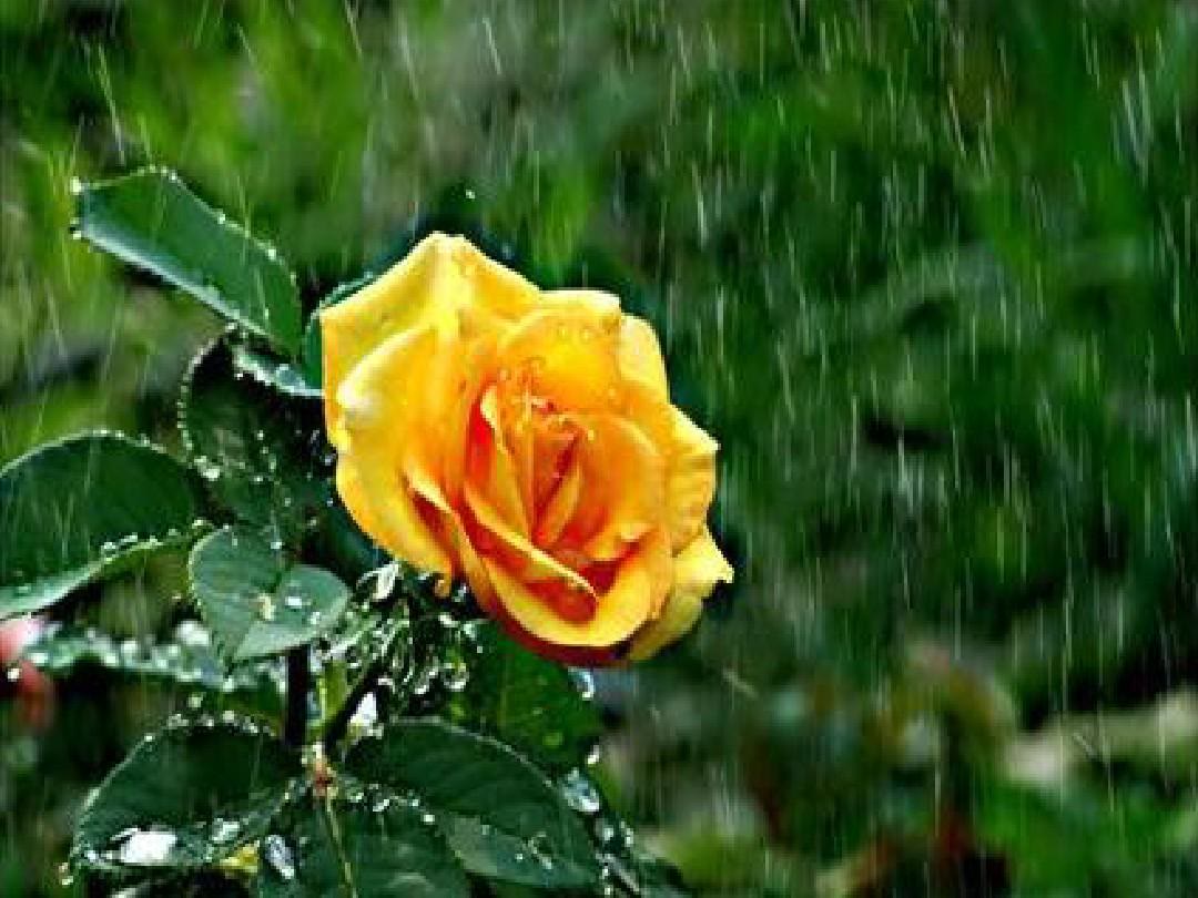  不怕八月初五打雷，就怕八月二十七外出，啥意思？初五打雷好吗？