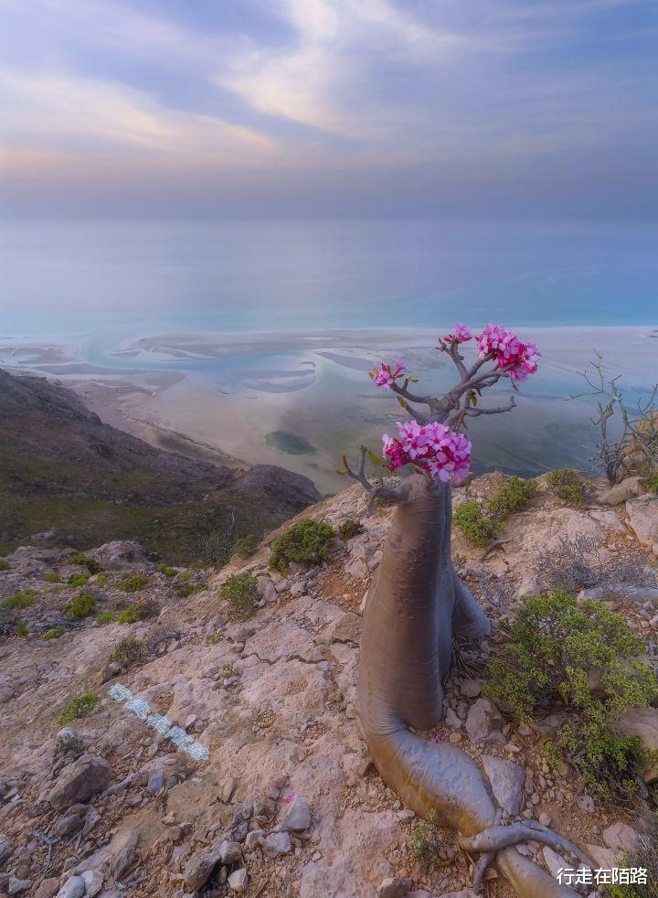 千岛湖|中东极乐岛现状：破败到还不如偏远山村，守着金山过苦日子