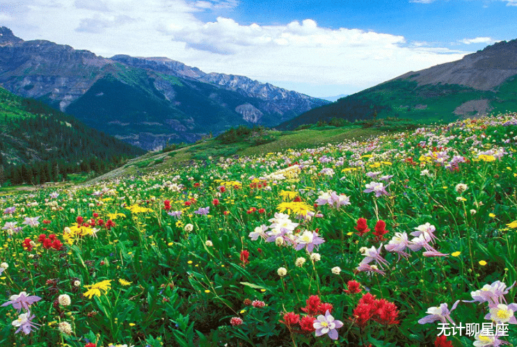 无计聊星座|八月起,4个星座,诸事顺利,生活迎来好运,令人羡慕