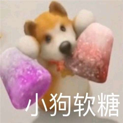 桉月|表情包：很有趣的快乐表情包合集