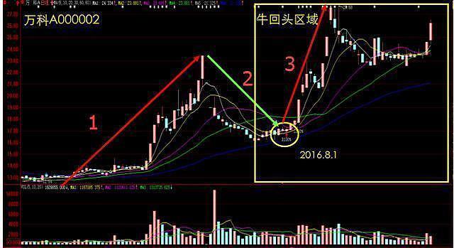 中国股市:怎样做才有可能成为那1%的天才型炒股投资者!