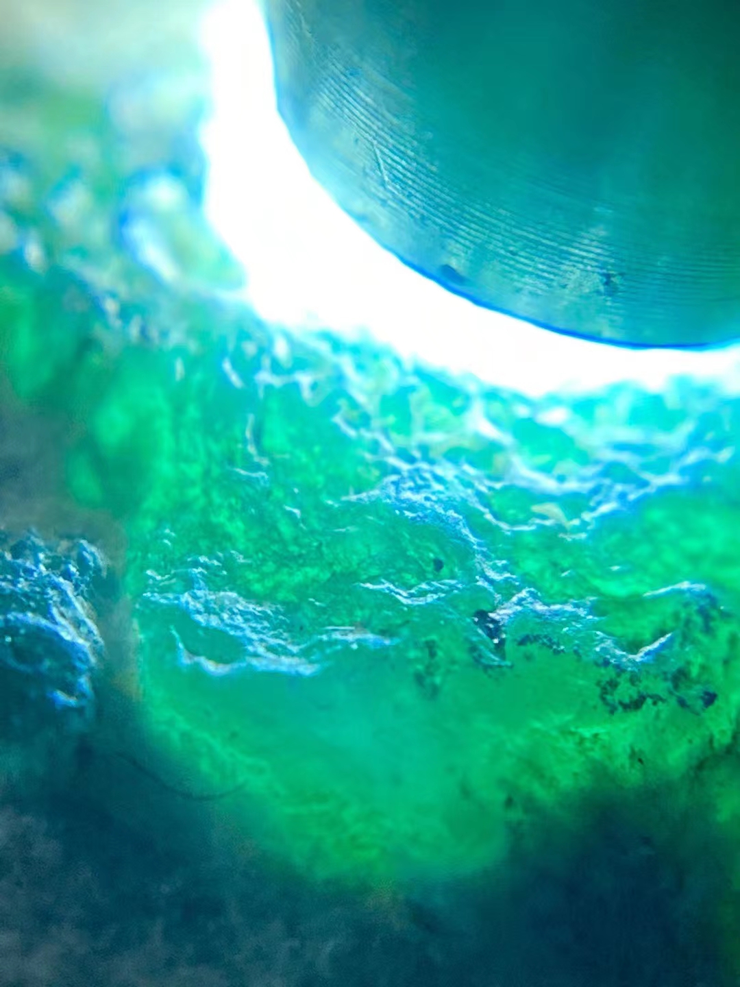 翡翠|翡翠以绿为贵的原因，你知道几个？