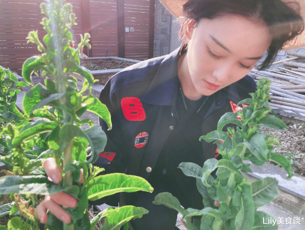 张馨予|张馨予晒莴笋丰收火了，吸引4万网友点赞，网友：嫁对人气质都变了