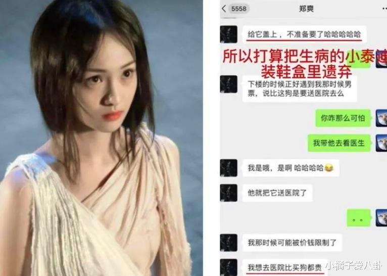 杨钰莹|与郑爽合作过的女星突然爆料天价片酬背后真相：郑爽的1亿多要分给别人？