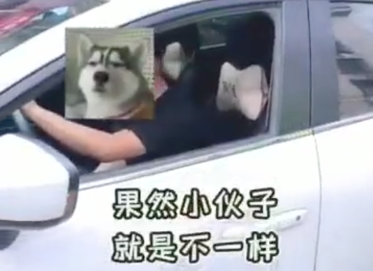 大国将苓 这位女交警，是我见过的算是很牛的交警