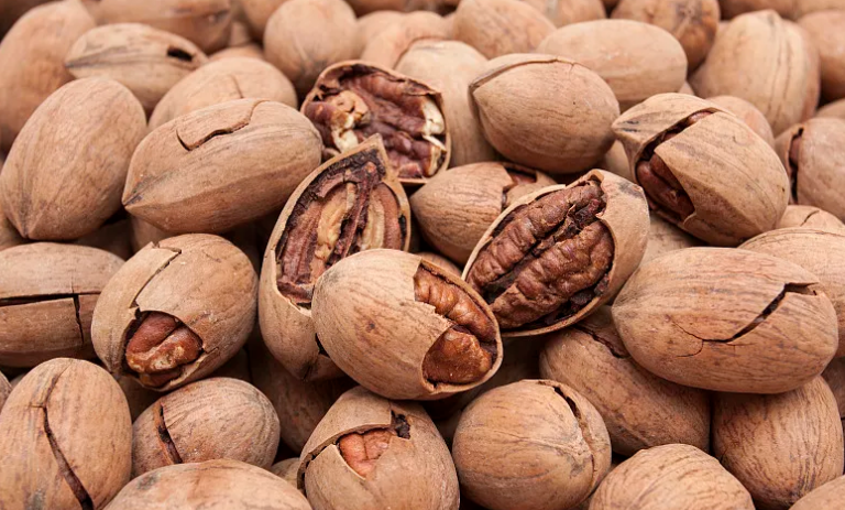 白蚁 长在白蚁窝里的菌类，价格超过黄金，为什么挖到的人就是不肯卖？