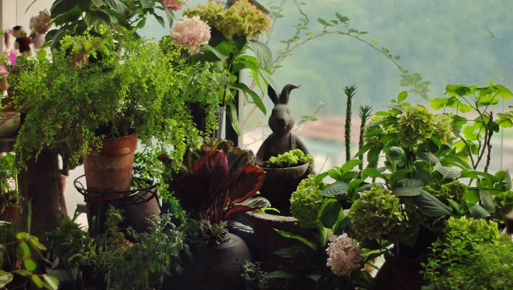 7㎡小阳台，改造成19楼的空中小花园，天天宅在家不想出门了