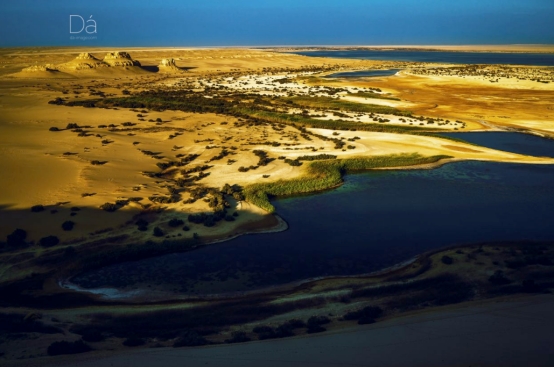 鲸鱼 埃及沙漠出现四足鲸鱼化石,被命名为“死神”,它出现说明什么?