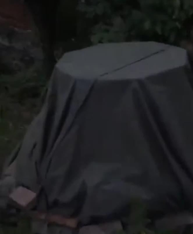 林生斌|林生斌的偶像梦和荒野里181米的那口井