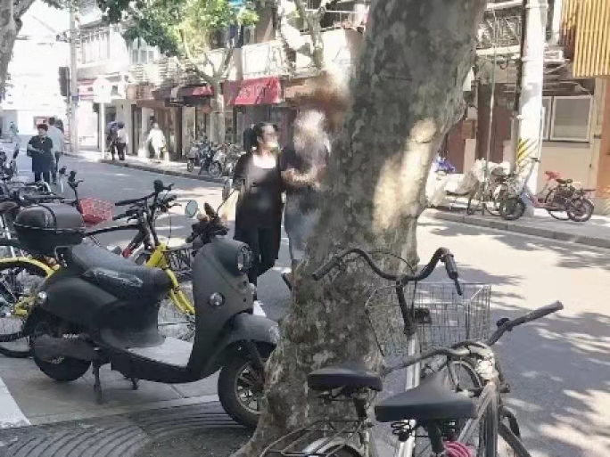 郑爽|郑爽张恒事件牵出大瓜，娱乐圈真的要一网打尽吗