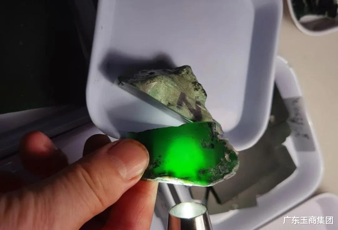 翡翠|翡翠行业如何应对危地马拉高色料翡翠的出现？