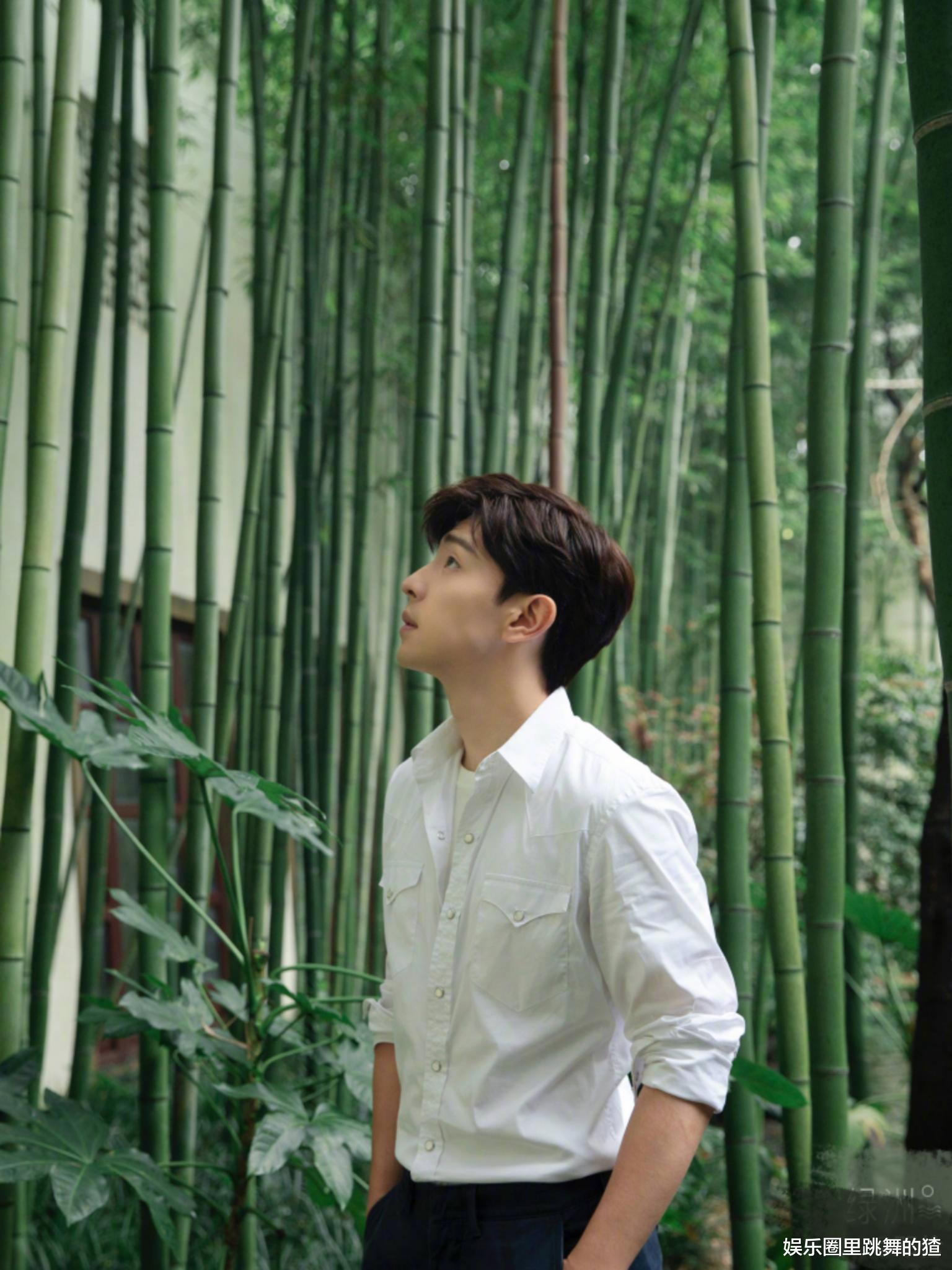 步步惊心|《楚乔传2》真的来了？林更新邓伦回归，赵丽颖被新晋小花替代？