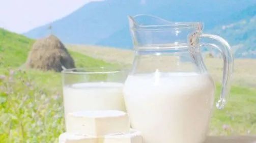 町芒评测 给孩子买牛奶一定别买的6种，不仅没营养还会起反作用