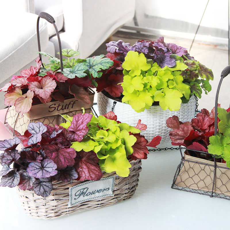 买不起别墅,一定要买顶楼带露台,建一个休闲花园也是不错的选择