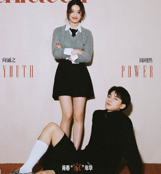 白日梦我|网传《白日梦我》将官宣，看到主演阵容后，网友：你俩真敢接