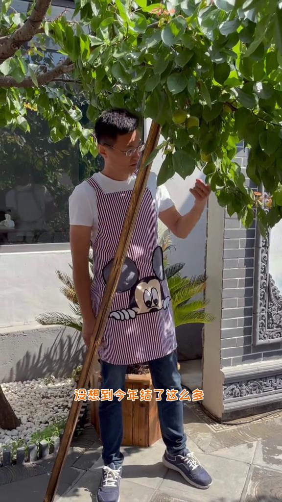 别墅|小鱼儿夫妇:3.5万将农村旧房变别墅意外爆红,引来百万网友围观