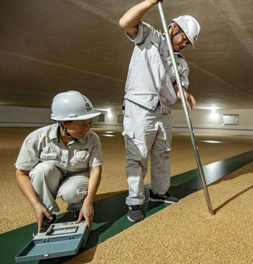 招聘|中储粮集团面向社会招聘,应往届生均可报考,大学生不要错过