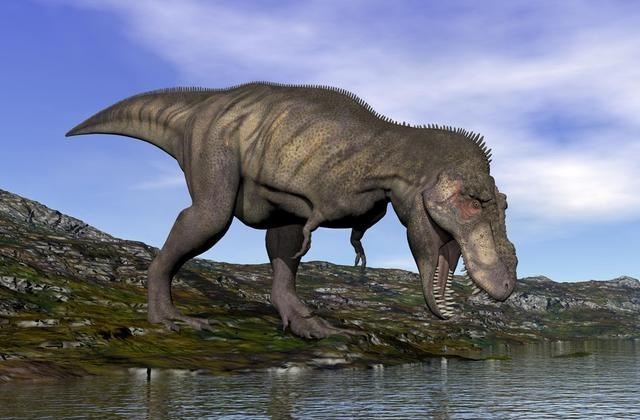 恐龙 恐龙称霸地球上亿年，为何没有像人类一样，进化称高等智慧生物？