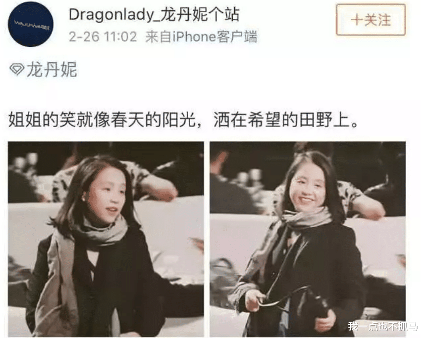 杨天真|她也太爱买热搜了吧