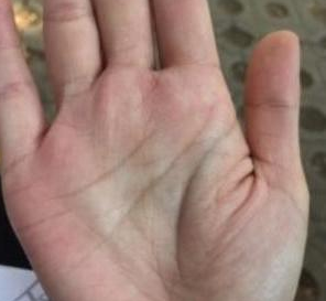 玄何师傅讲命理 手握“聚宝盆”之人，不是人龙就是鸾凤，绝对是不差钱的命