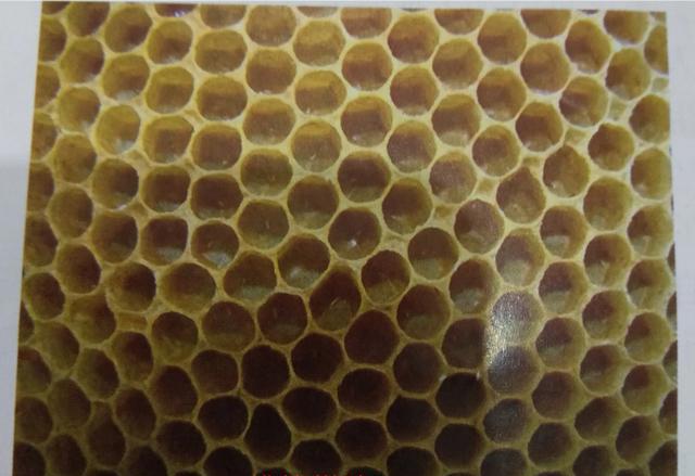 蜜蜂 在蜜蜂窝附近烧旧脾为什么蜜蜂很凶？