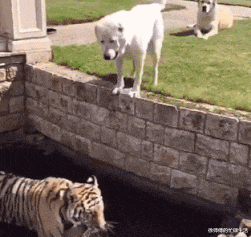 “女朋友设计出了结婚的婚房,看起来怎么样?”就差钱了