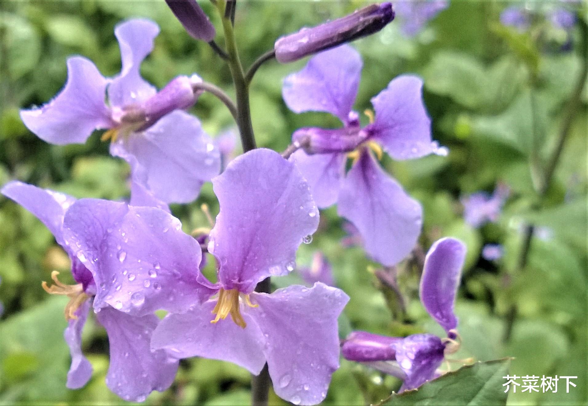老照片|职场半日闲，闲说老照片之——物