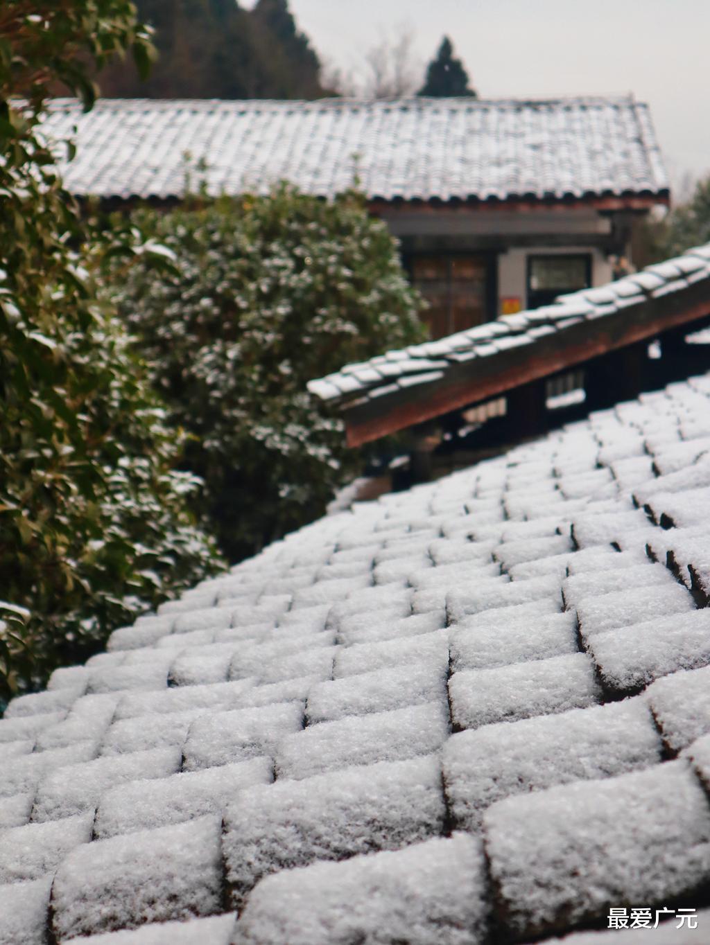 剑门关|下雪啦！剑门关迎来今冬第一场雪，古建筑红与白交错，美不胜收！