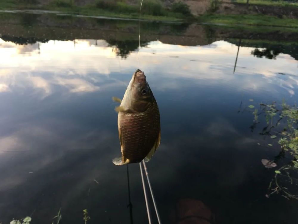 |要不是亲身经历，你永远不知道野钓时，能钓上来什么奇怪的东西