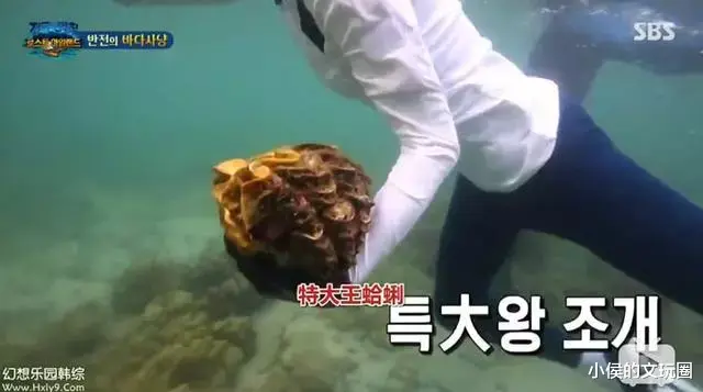 蝙蝠 看到某女星吃蝙蝠，我当场关掉视频！吃蝙蝠的人，到底在想什么？