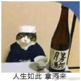 倪萍|54岁景岗山与牛莉热舞却酒不离手，曾因醉酒当街发疯，对着空气挑衅惹人非议！