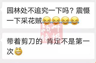 阜阳那些事 “奔驰女”剪花后续!处罚结果来了