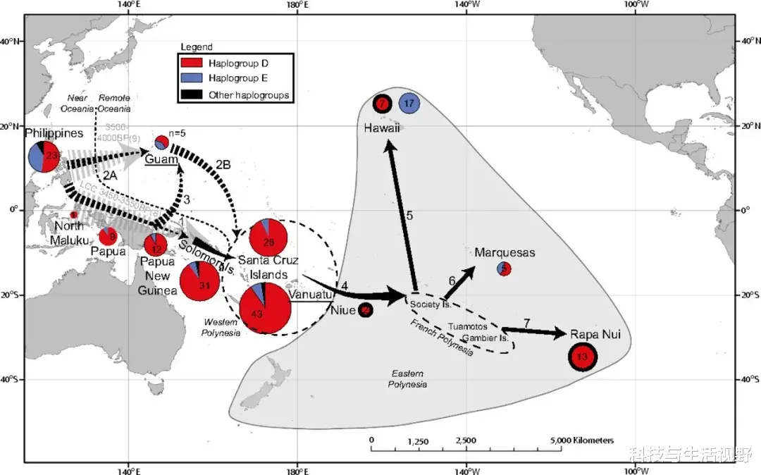 遗骸 世界是如何一步步被鸡“占领”的？