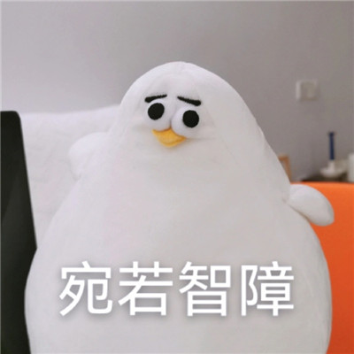 桉月|表情包：你礼貌吗的沙雕表情