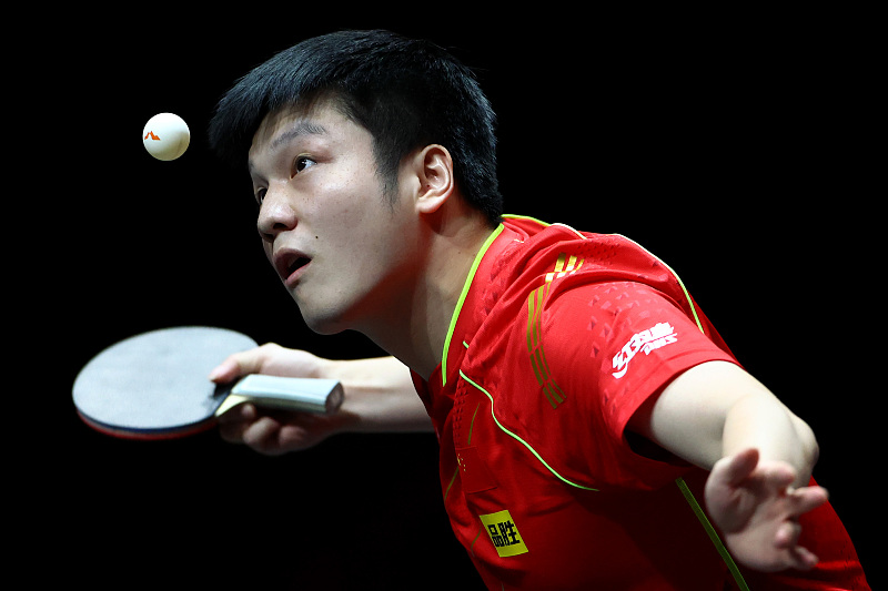 樊振東|再見日本！樊振東4-1戰(zhàn)勝張本智和，連奪3賽冠軍，無愧劉國梁信任