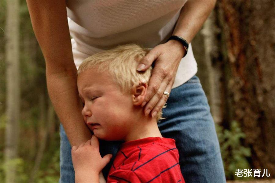 老张育儿|孩子挨骂后，习惯性往妈妈怀里钻，“求抱抱”的背后隐藏着什么？