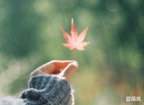 夏晴风|你知道吗？倘若一个男人给了你特殊待遇，必然是把你放在心上了