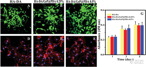 生物降解 二维磷化锗增强导电可生物降解水凝胶支架增强脊髓损伤修复