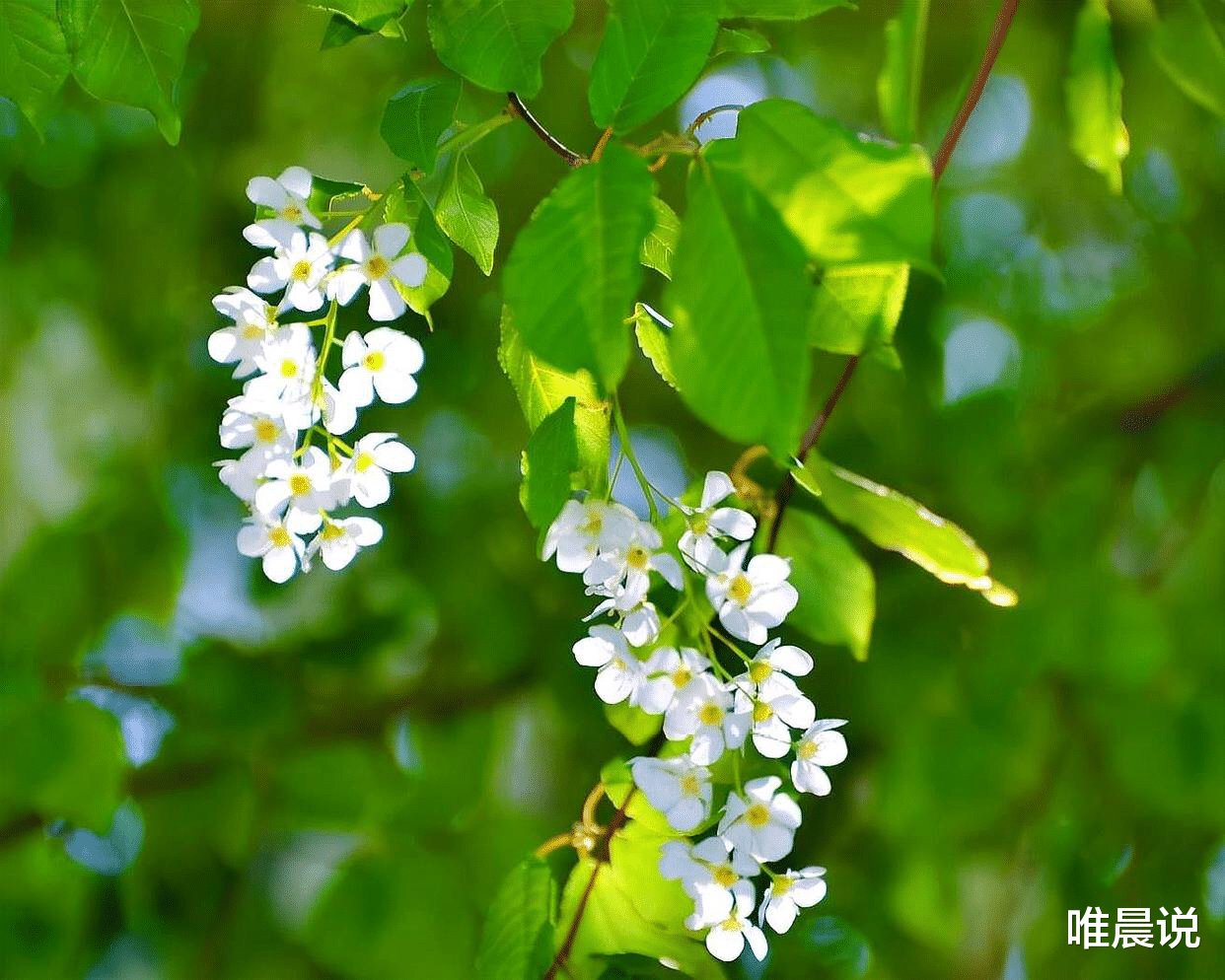 唯晨说|识人:那些不能深交的人,身上有特征